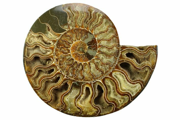 Cut & Polished Ammonite Fossil (Half) - Deep Crystal Pockets #359530